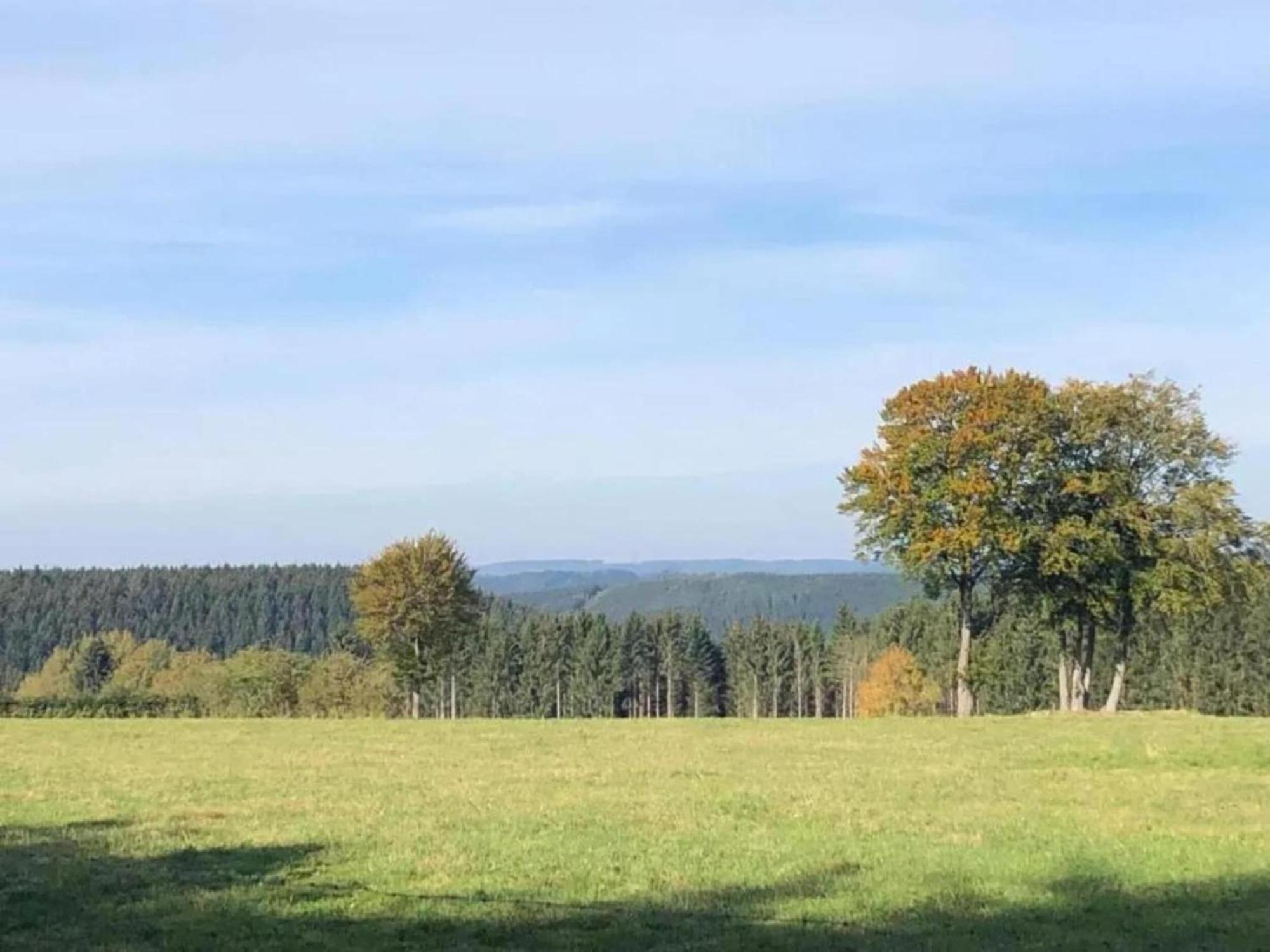 Magnificent Apartment In Willingen With Balcony Zewnętrze zdjęcie